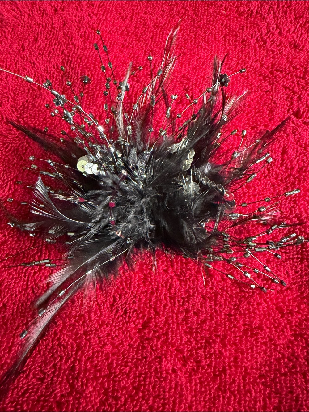Black Feather Brooch